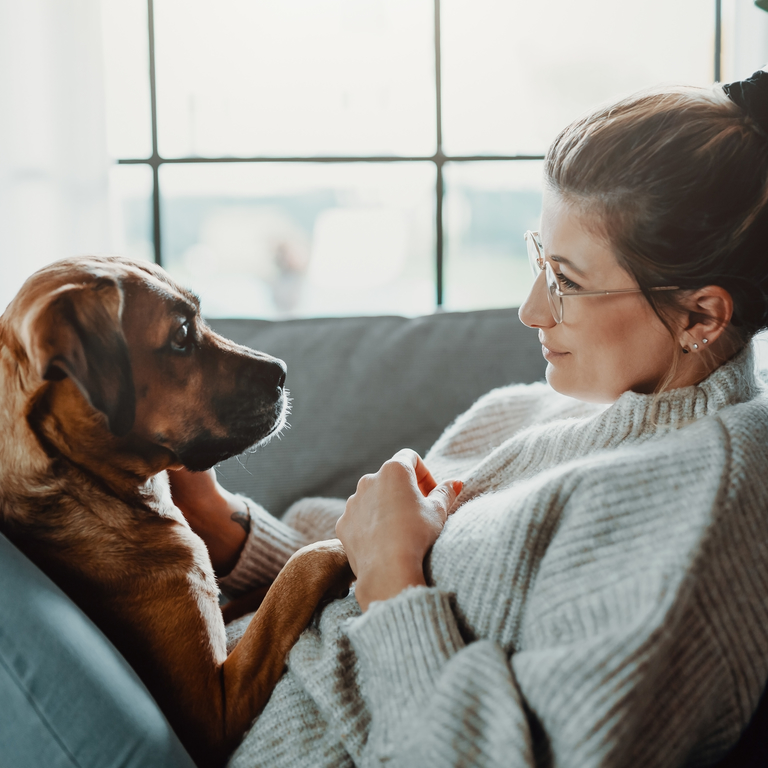 Mental Wellbeing